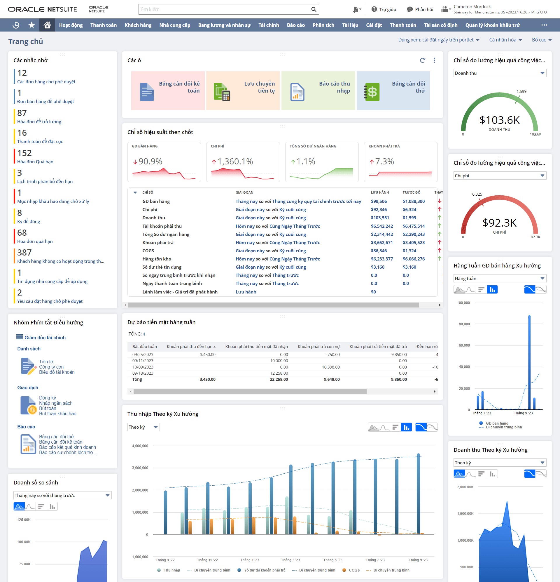 NetSuite tích hợp sẵn các Dashboard mạnh mẽ theo thời gian thực giúp CFO/CEO theo dõi sức khỏe tài chính một cách chính xác